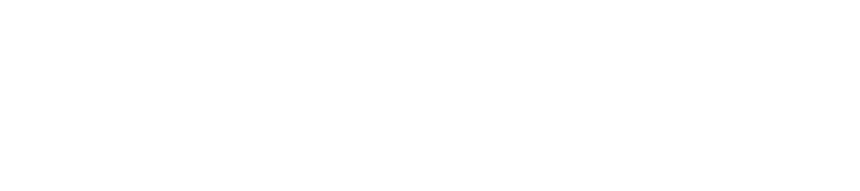 CND - The Swiss Data Center Experts Logo